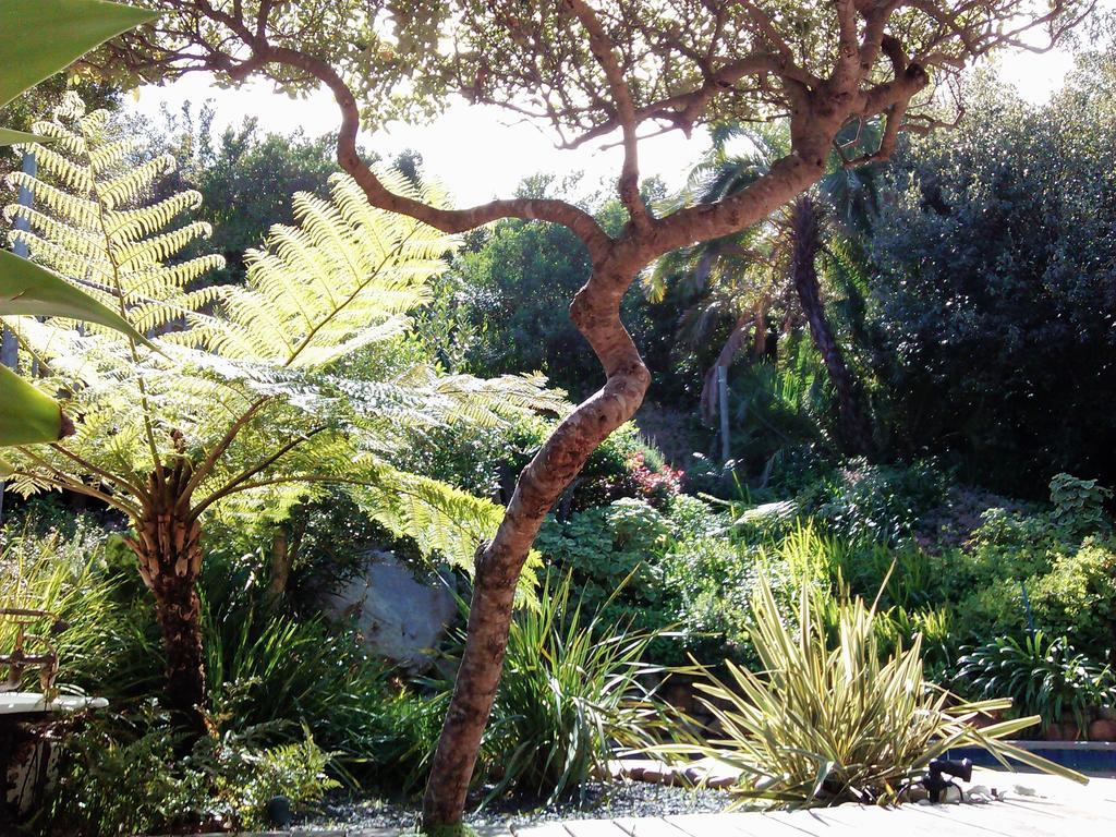 Hotel Hout Bay Hideaway Exterior foto