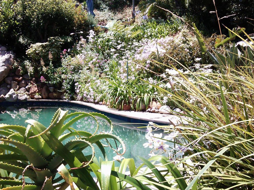 Hotel Hout Bay Hideaway Exterior foto