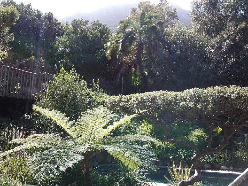 Hotel Hout Bay Hideaway Zimmer foto